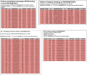 Molecular Basis for Global Incidence of Pemphigoid Diseases and Differences in Phenotypes